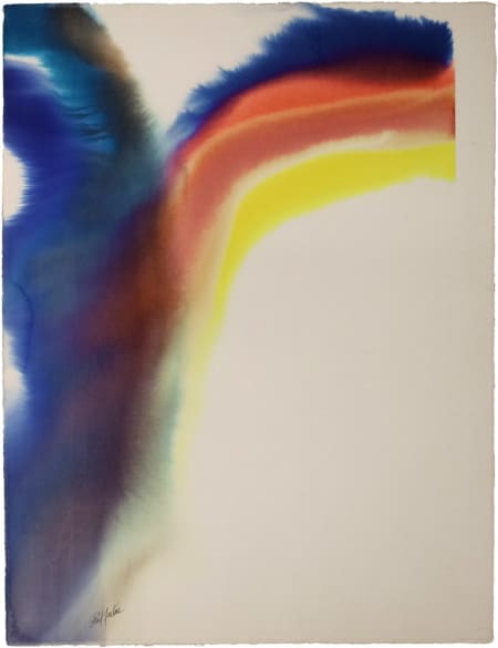 Paul Jenkins — Phenomena carpentess